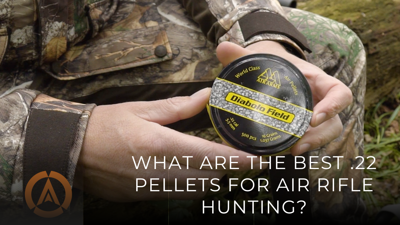What are the best .22 pellets for air rifle hunting?